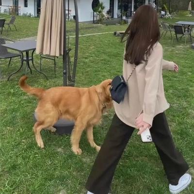皮茜