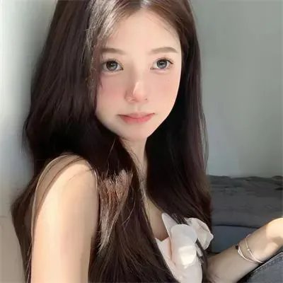 欢乐树的朋友们